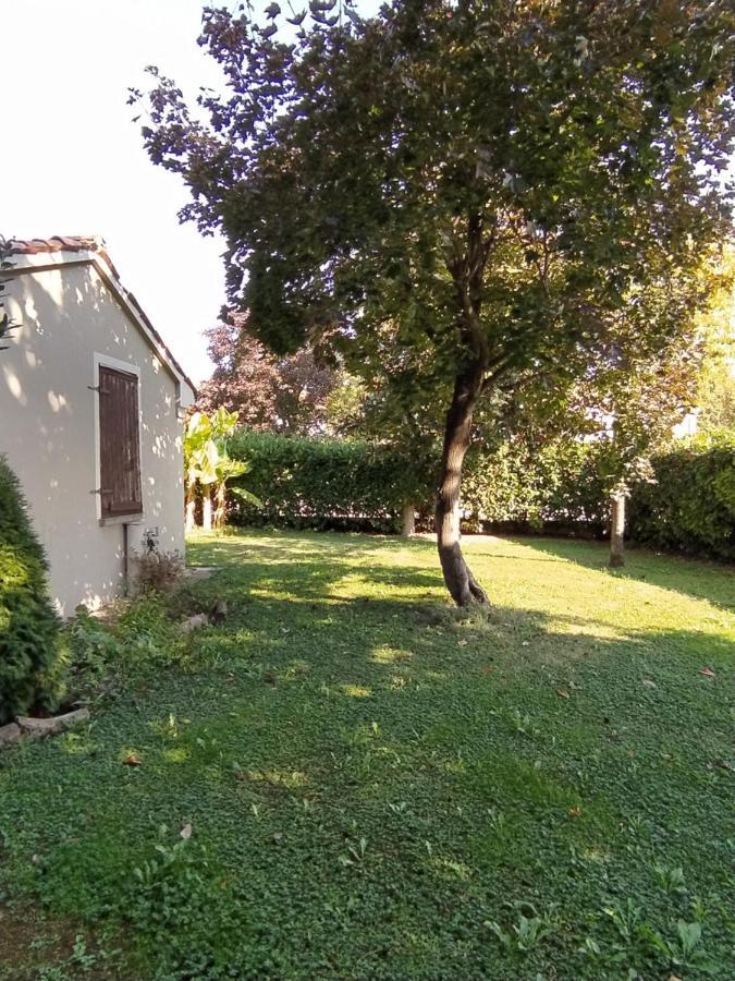 B&B Il Ponticello Gualtieri Exterior photo